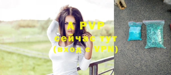 дурь Новодвинск