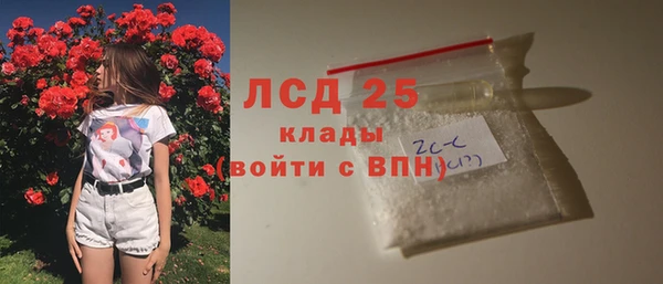 хмурый Няндома