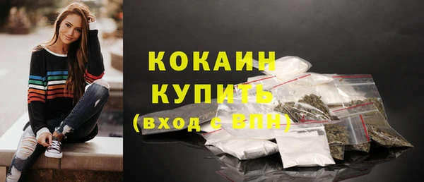 дурь Новодвинск