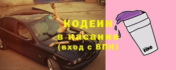 дурь Новодвинск