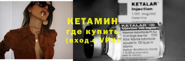хмурый Няндома