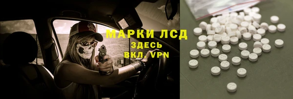 прущие грибы Новокубанск