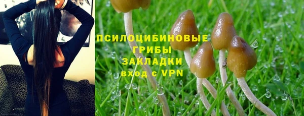 прущие грибы Новокубанск