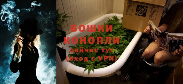 дурь Новодвинск