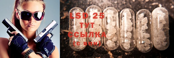 прущие грибы Новокубанск